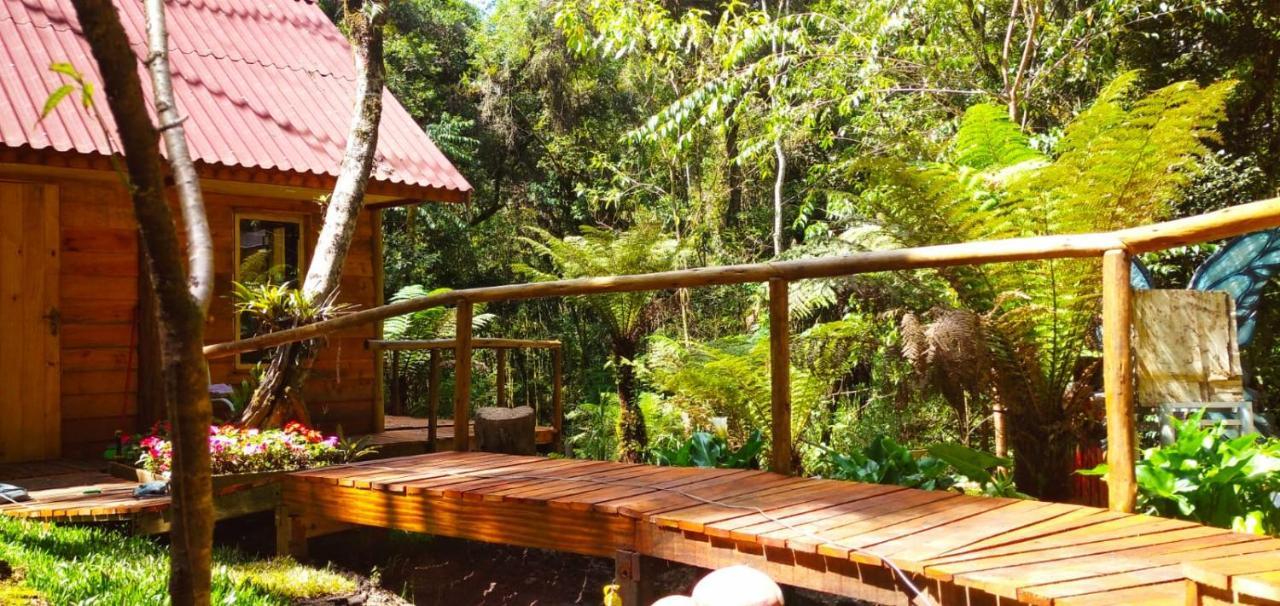 Villa Chale Samambaia Campos do Jordão Exterior foto